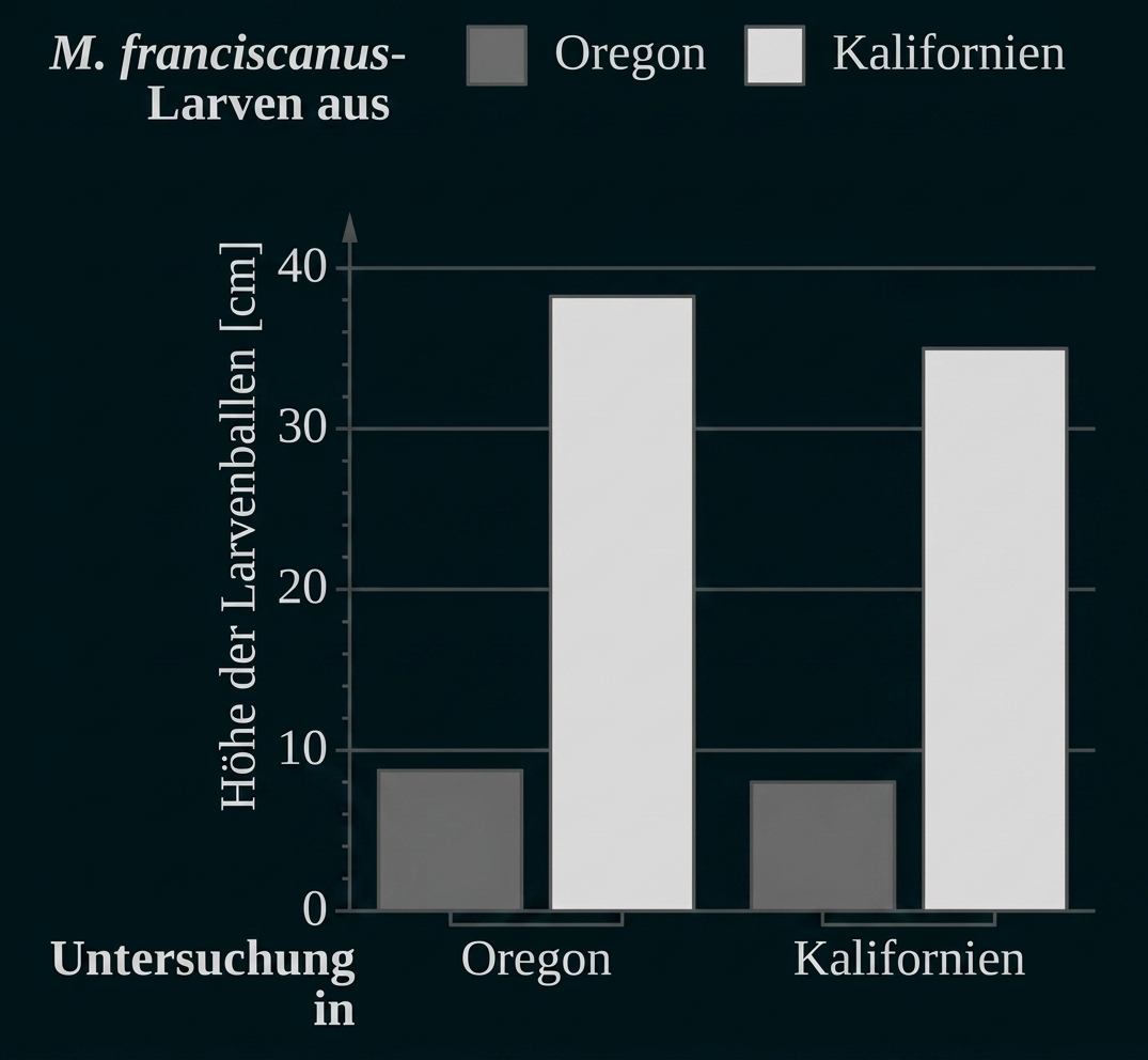 Balkendiagramm zur Larvenhöhe von M. franciscanus in Oregon und Kalifornien